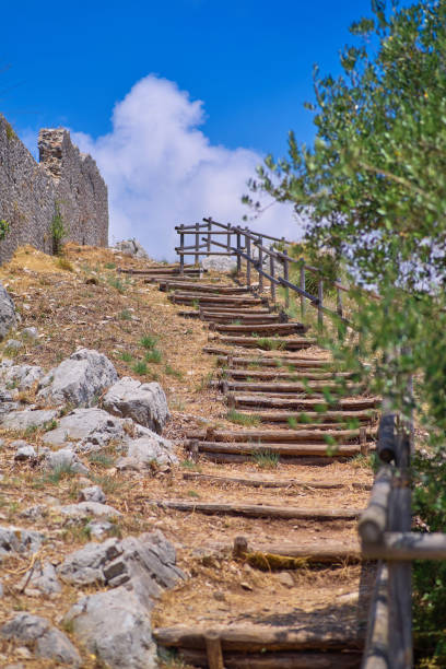 istock Old wooded ladder on the mountainside 1007811474
