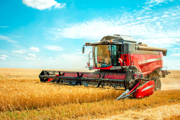 harvester harvests wheat on field harvester harvests wheat on field combine harvester stock pictures, royalty-free photos & images