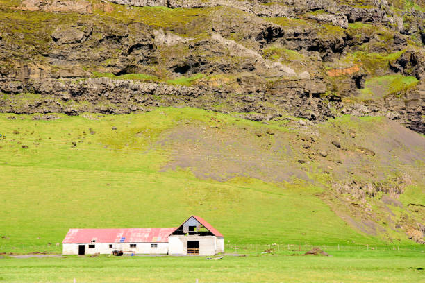 istock Grand waterfall Skogafoss in Iceland. 1007825496