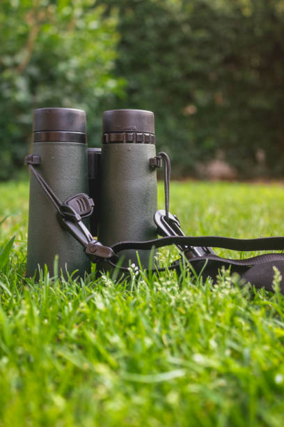 binoculars on grass - binos imagens e fotografias de stock