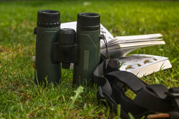 binoculars and bird guide - binos imagens e fotografias de stock