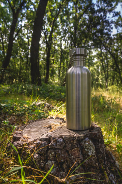 istock Steel Bottle in Nature 1007828908