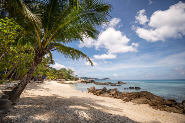 Paradise sandy beach. Ocean view