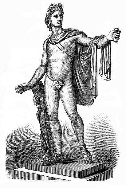 apollo von belvedere - roman statue stock-grafiken, -clipart, -cartoons und -symbole