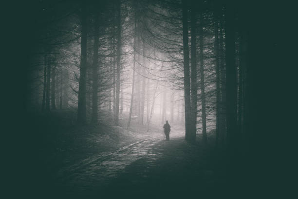 istock Peson walking in path of dark and mysterious forest 1007851640