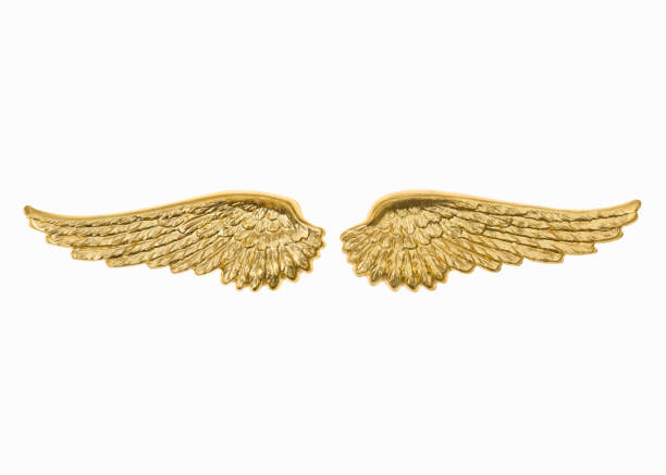istock Golden wings isolated on white 1007853896