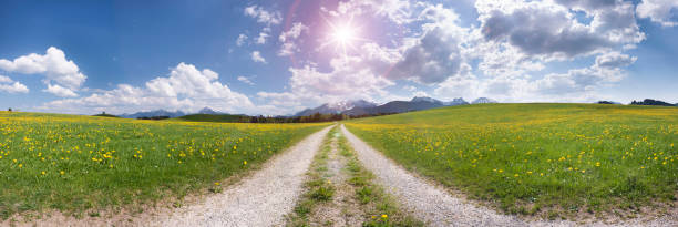 scena wiejska z wiejską drogą przez łąki wiosną - non urban scene landscaped clear sky germany zdjęcia i obrazy z banku zdjęć