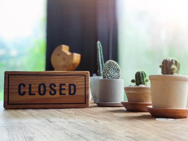 istock Closed wood label with cactus tree decoration in cafe shop 1007894088