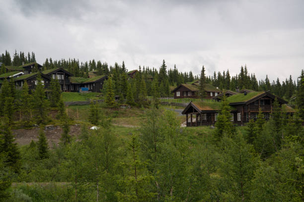 istock Traditional houses in Norway 1007915656