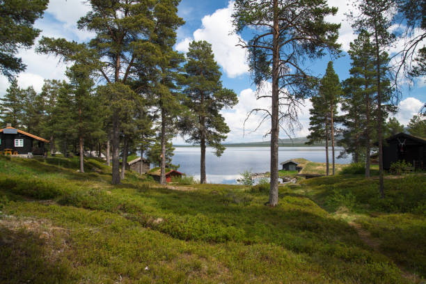 istock Fiskevollen, N Hedmark fylke, Norway 1007919498