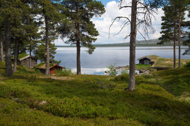 istock Fiskevollen, N Hedmark fylke, Norway 1007919528