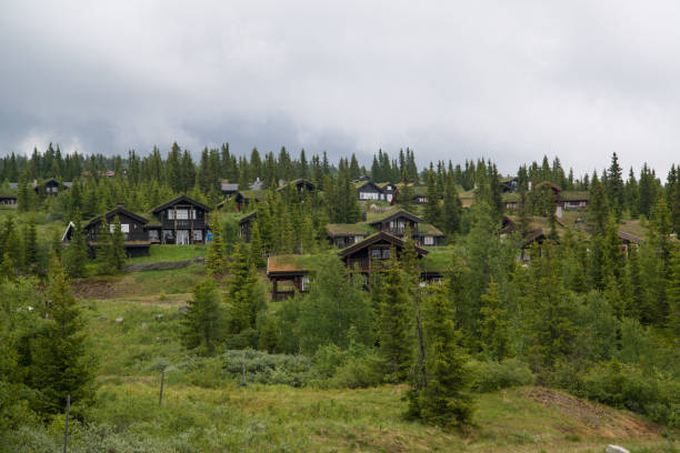 istock Traditional houses in Norway 1007920028