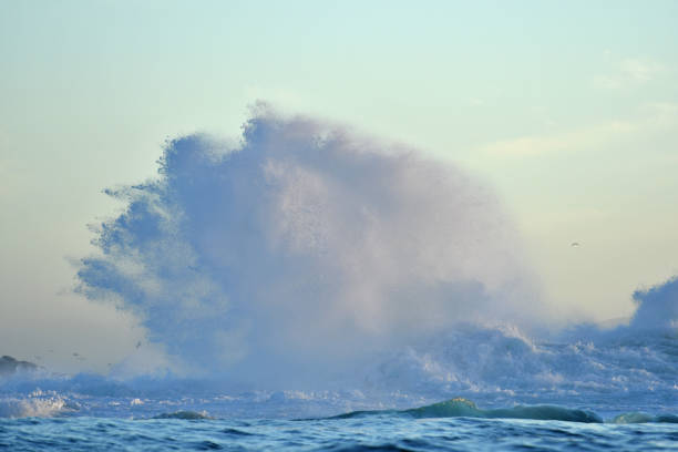 Tropical Waves Crashing