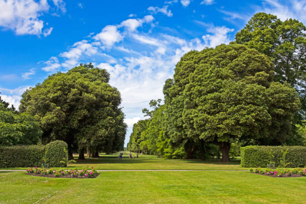 Photo showing an unusual ornamental white garden, which is filled with plants that have white flowers only - no other colours, apart from green, variegated and silver foliage.  This walled garden has been landscaped with a circular theme.