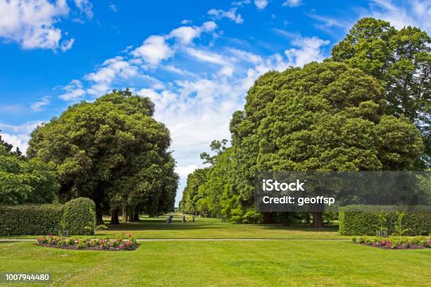 Landscape Of Trees In Formal Garden Stock Photo - Download Image Now - Kew Gardens, London - England, Summer