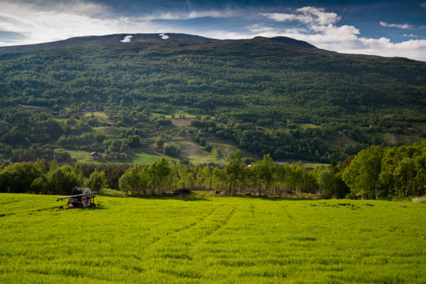 Oppdal, Norway Norway countryside between Oppdal and Drive oppdal stock pictures, royalty-free photos & images