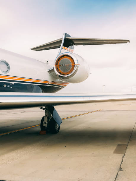 istock Private luxury jet at the airport terminal 1007961210