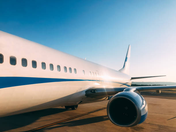 istock Private luxury jet at the airport terminal 1007961356