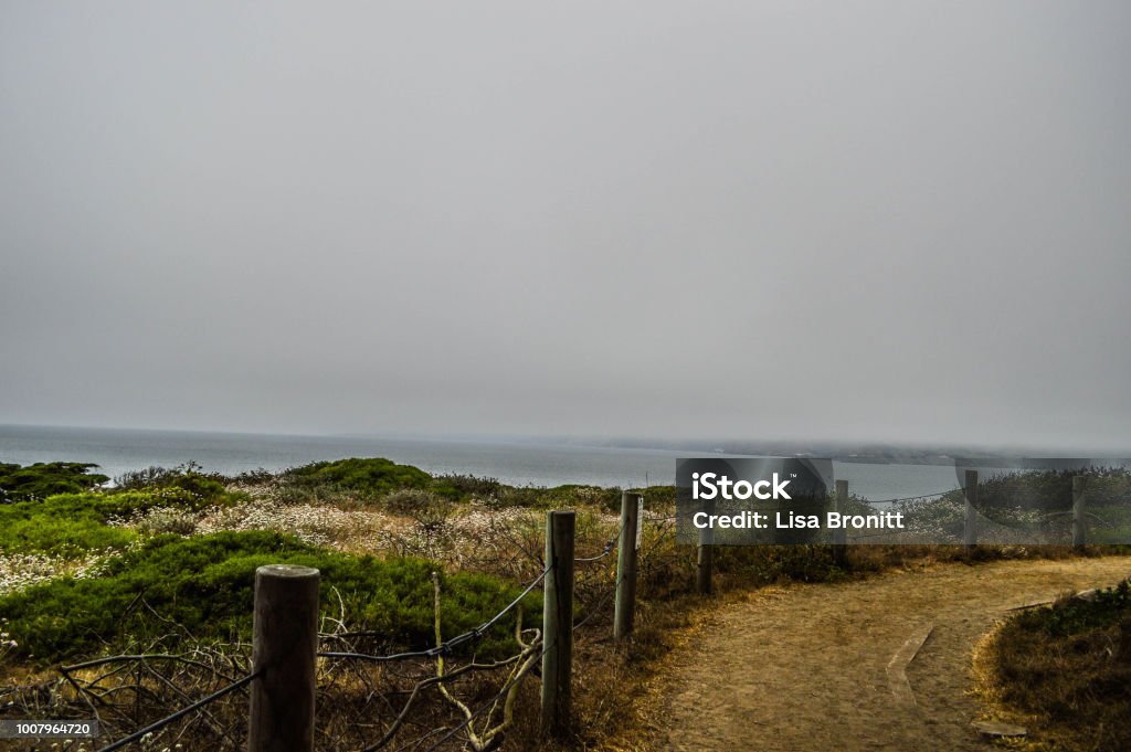 Lands End San Francisco Hiking trail Land's End in San Francisco overlooking pacific ocean and cliffs Beauty Stock Photo