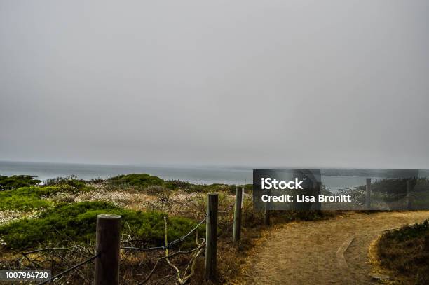 Lands End San Francisco Stock Photo - Download Image Now - Beauty, California, Cliff