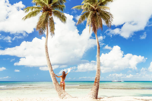 istock Beach Beauty on Isla Saona, Dominican Republic 1007977564