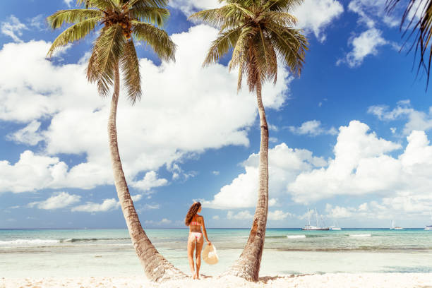 istock Beach Beauty on Isla Saona, Dominican Republic 1007977620