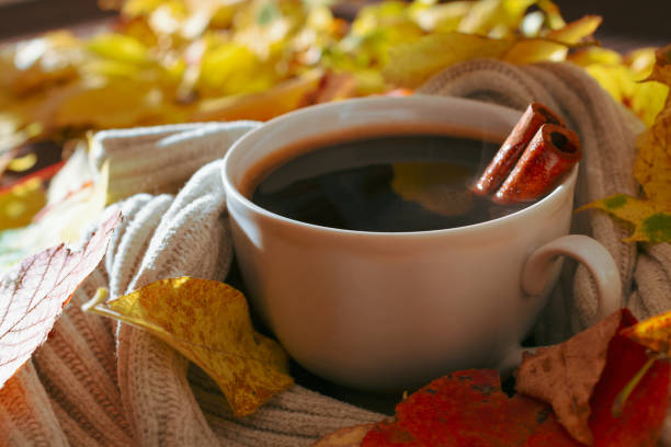 istock Cup of coffee with cinnamon stick 1007987712