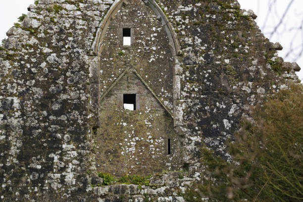 istock Kicrea Abbey Cork Ireland 1007987866