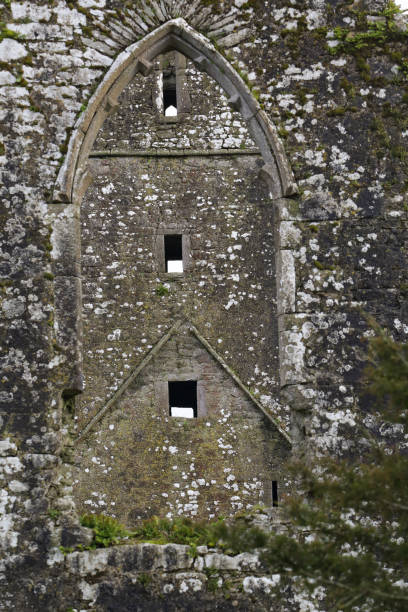 istock Kicrea Abbey Cork Ireland 1007987944