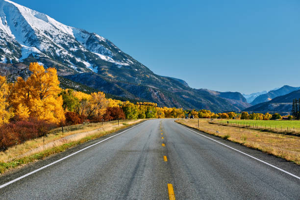 istock Highway at autumn in Colorado, USA. 1007990726