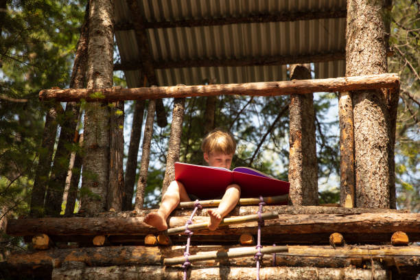 Reading in the tree house. Boys in tree house having fun. kids play house stock pictures, royalty-free photos & images