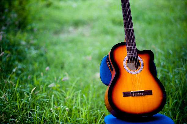 istock Guitar and nature Good atmosphere 1007993956