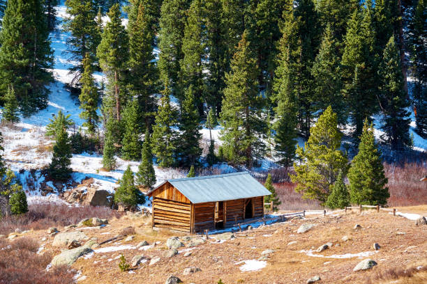 istock Independence Ghost Town in Colorado mountains 1007994928