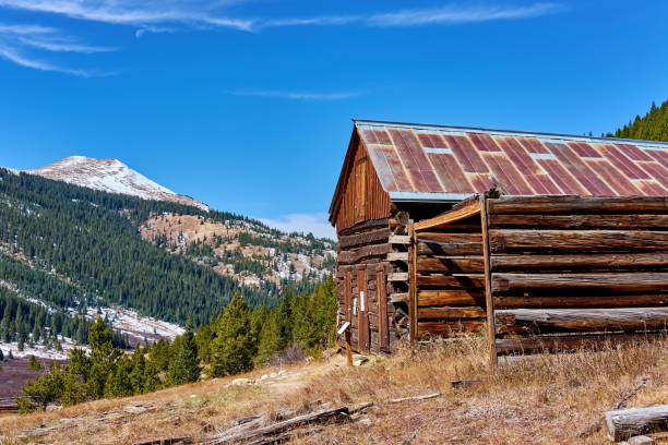 A sun-drenched dirt road leads through a preserved historic ghost town nestled in the Colorado Rockies. Dominating the foreground is a log cabin with boarded windows, its rustic wood tones beautifully highlighted by the dappled sunlight. The scene is framed by towering evergreens and backed by a lush mountain slope under a crisp blue sky, punctuated by fluffy white clouds. The structures further down the road hint at the town’s preserved heritage, giving the viewer a glimpse into a bygone frontier era.