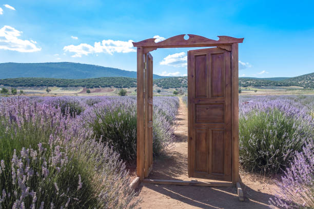 istock Door in the lavender garden 1007997524