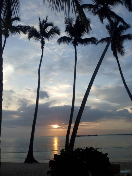istock Sunset in the Dominican Republic 1007998490