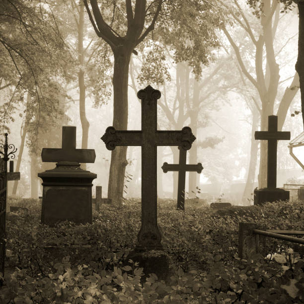 istock cemetary in fog in autumn 1008000788