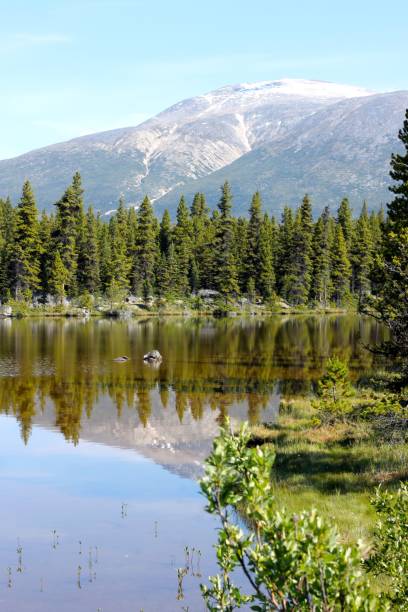istock Alaskan Landscapes in Summer 1008001548