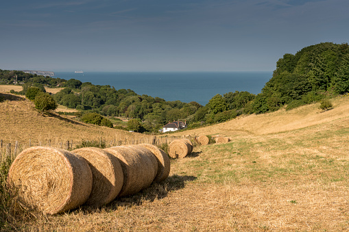 Hay Bales at Luccombe on the Isle of Wight