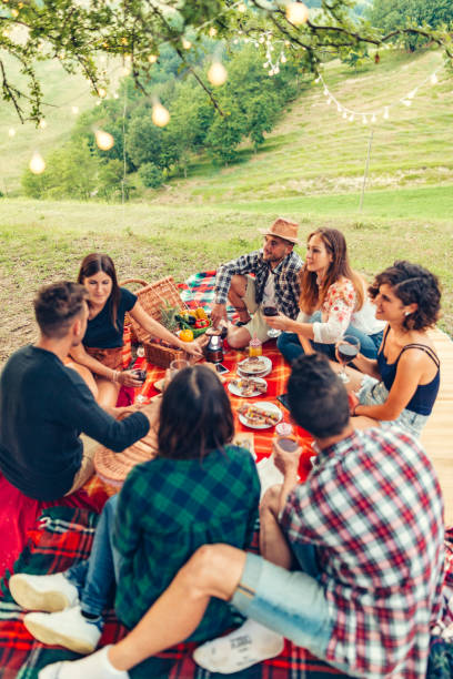 istock Group of friends spending time making a picnic and a barbeque 1008005136
