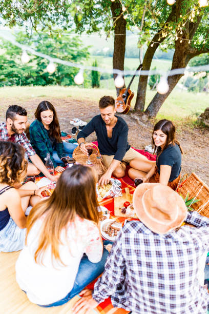 istock Group of friends spending time making a picnic and a barbeque 1008005276
