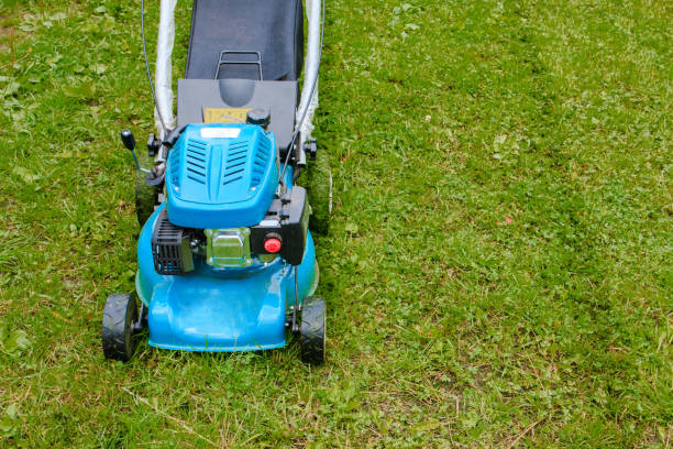 istock cutting the grass in the garden with lawn mower 1008005406