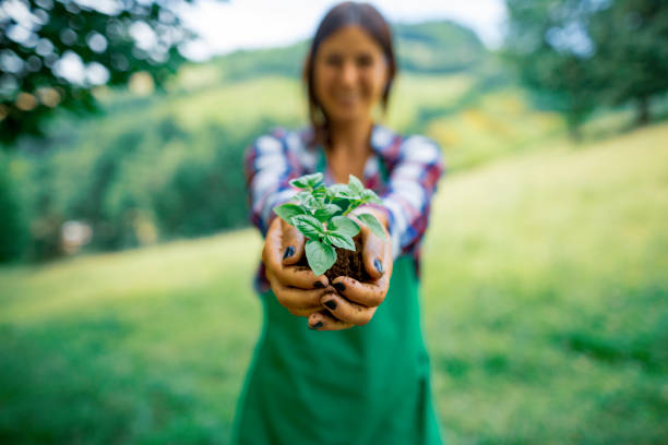 istock Young gardener woman holding a plant 1008005500