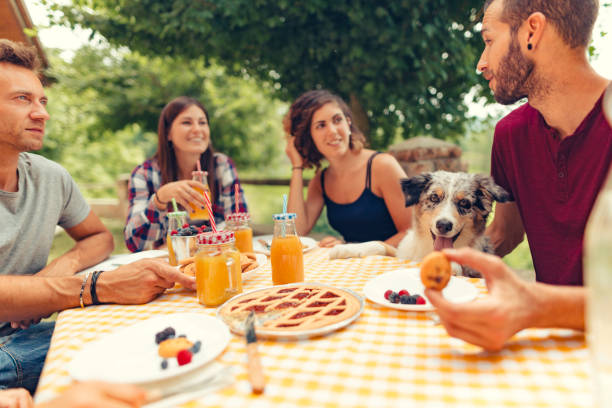 istock group of friends doing breakfast outdoors in a traditional countryside 1008005508