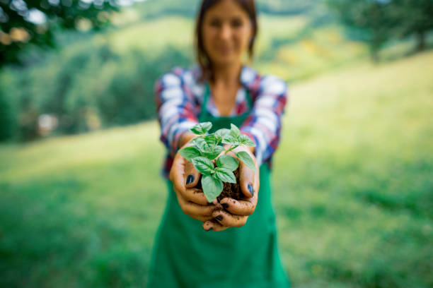 istock Young gardener woman holding a plant 1008005522