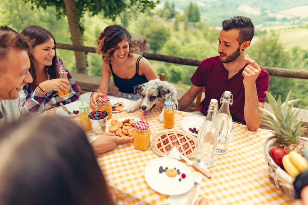 istock group of friends doing breakfast outdoors in a traditional countryside 1008005544