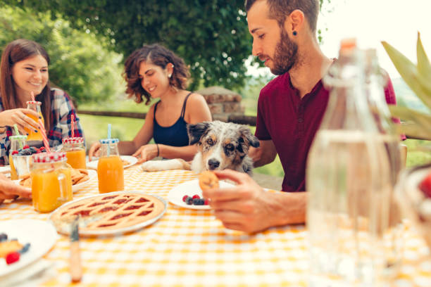 istock group of friends doing breakfast outdoors in a traditional countryside 1008005556