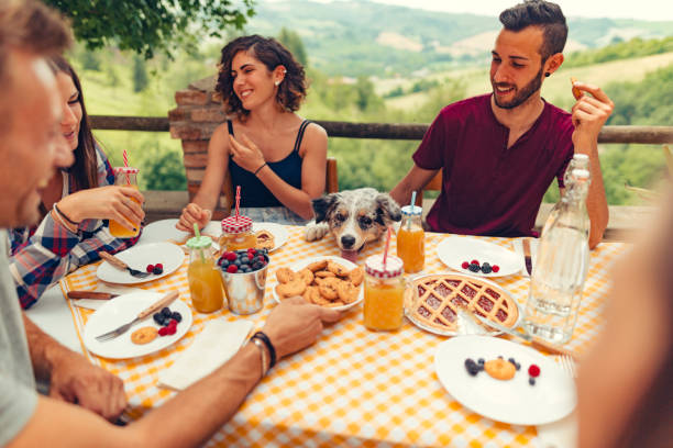 istock group of friends doing breakfast outdoors in a traditional countryside 1008005560