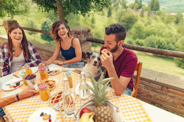 istock group of friends doing breakfast outdoors in a traditional countryside 1008005608