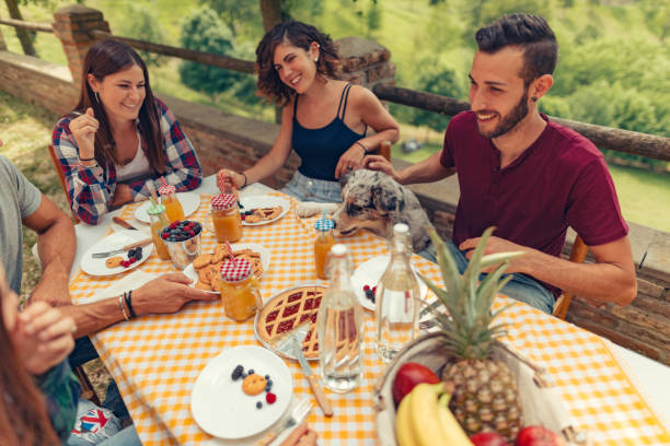 istock group of friends doing breakfast outdoors in a traditional countryside 1008005702